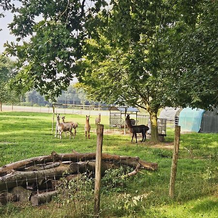 Ferienhaus Banana Lodge Bruchhausen-Vilsen Екстер'єр фото