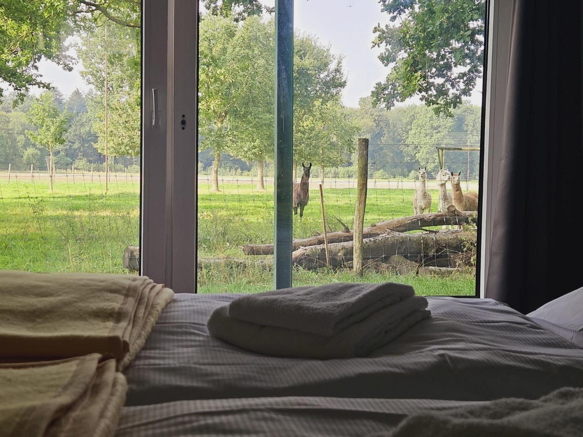 Ferienhaus Banana Lodge Bruchhausen-Vilsen Екстер'єр фото
