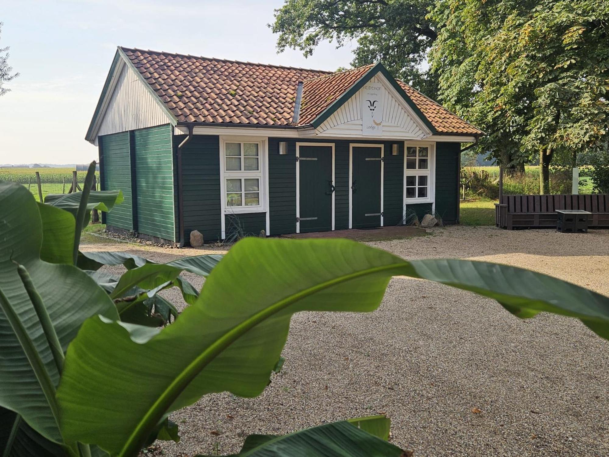 Ferienhaus Banana Lodge Bruchhausen-Vilsen Екстер'єр фото